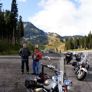 Meet your Posher, Tracy